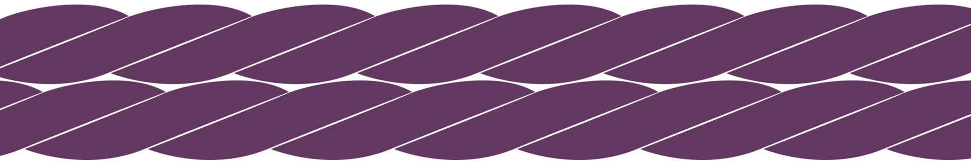 Chicotadas